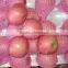 2015 new season corp fresh fruit fuji apple wholesale for exporting