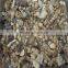 canned mushroom broken straw mushroom price