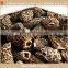 Dried Morchella Esculenta with Best Price
