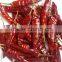 Best Quality Indian Red Chilli Exporters