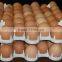 PP High Quality Egg Plastic Tray For Poultry
