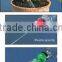 4 Bottle top seed waterers