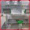 femal and baby rabbit cage