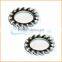 China professional manufacturing internal tooth lock washers