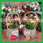 2016 new decorative indoor hanging flower pot holder for sale