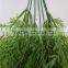 PE Plastic Hanging Vine Rattan Bulk Grass Artificial Hanging Leaf