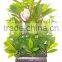 indoor Home garden decorative 250cm Height make artificial green live magnolia bonsai tree EXLYPZ06 0509