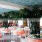 Artificial ancient fruit tree for landscape decoration