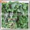 Beautiful green wall decoration green wall vertical garden green wall module