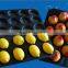 Plastic Colorful Food Tray with SGS Certificate