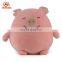 ICTI Factory Wholesale Plush Egg-shaped Animal Soft Pig Toy