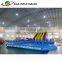 Giant Inflatable Water Park / Dolphin Amusement Park Equipment