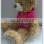 Funny Bear Plush Doll Make Your Qwn Talking Doll For Children