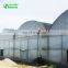 Classic Commercial Plastic Film Greenhouse/Garden Greenhouse for sale
