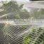 Best quality HDPE anti hail net/bee net/ bird net