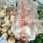 China polypropylene PP woven bag 50kg used for packing flour rice grain cereal