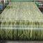 RAL 1001 Beige RAL 2001 Red orange prepainted galvanized steel coil PPGI/PPGL/PPCR