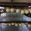 Pig Pacifiers Chewable Items for Swine  PU Chewable Items for Swine