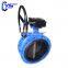 Cast Iron Body SS304 316 Disc SS410 Stem Manual Butterfly Valve With Price