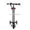3 wheel portable folding electric bike/electric bicycle/mini folding e-bike/ebike