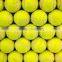 Promotional Tennis Ball