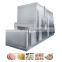 Industrial tunnel type high quality liquid nitrogen freezer fruit IQF freezing machine