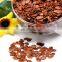Crunchy Watermelon Seed Delicious in Vietnam