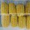Sinocharm BRC A Certified Grown in Greenhouses IQF Cut Sweet Corn Frozen Sweet Corn