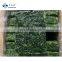 Sinocharm BRC A BQF Vegetable 3Lb Frozen BQF Spinach