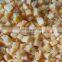 Sinocharm organic fruit fresh raw materials 10*10mm Frozen Diced Yellow Peach IQF Yellow Peach