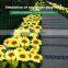 Garden Solar LED Lawn Light Courtyard Decoration Waterproof Outdoor Solar Sunflower Lawn Light