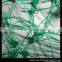 Durable Green Nylon Plant Netting/ Trellis Net Netting/ Plant Stand/ Plant Support for Climbing Plants - Flowers and Vegetables