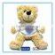 2014 new custom plush teddy bear