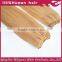  70 300g excellent Brazilian remy Pu skin weft hair extension