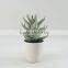2015 High nature decorative artificial plants artificial aloe wholesale