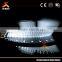 3D architectural plastic scale models for China landmark shanghai