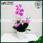 artificial phalaenopsis bonsai for home decoration