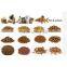 New Condition Pet Food Making Machine