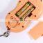 High Precision Fish Weighing Scale With Hook