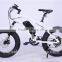 8.8AH Panasonnic battery 20 inch big tire snow electric bicycle mountain bike