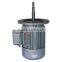 YL8012single phase two value capacitor asynchronous AC motor
