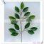 Factory Direct H54cm Green Artificial Silk Ficus Leaves