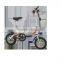 New Design Folding Electric Bike e Bike Electrci Bike 48V250W