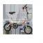 New design folding electric bike e bike electrci bike 48V250W