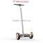 factory wholesale 250W*2 8 inch 2 wheels self balance TT Mini electric scooter /hoverboard with handlebar