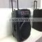 Special 15inch big active portable speaker with laser light