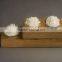 Unsaturated Polyester Resin
