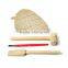 Dig and Discover kit toy of Amber Fossil dig kit