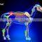 CE approved Extracorporeal veterinarian Shock Wave Therapy System