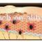 Infrared ems body muscle multifunctional exercise equipment vibrator